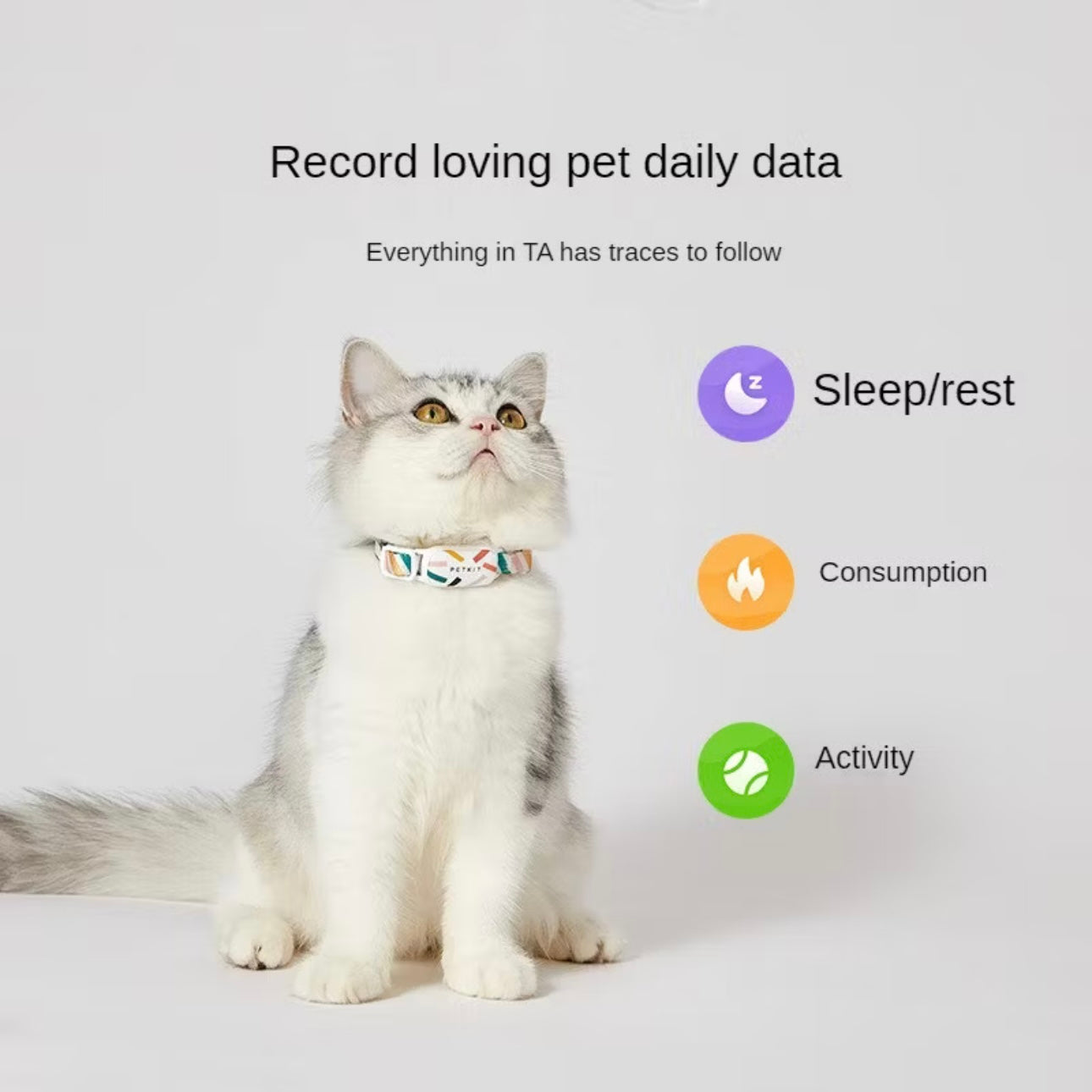 Smart Pet Dog Cat Collar Tag Bluetooth Tracker